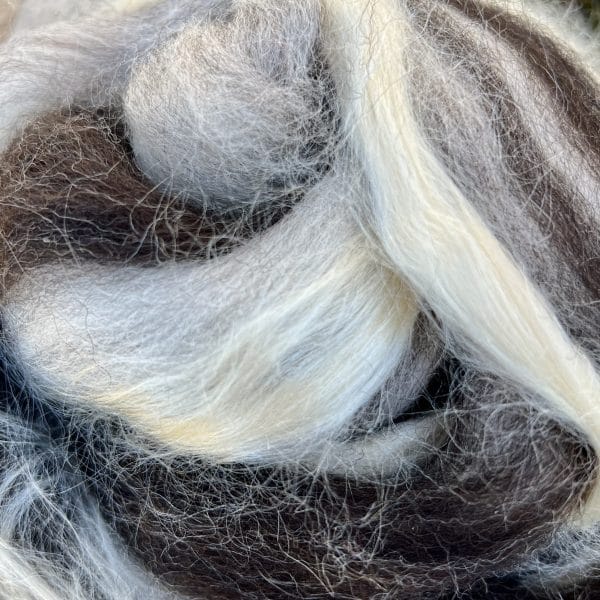 Savings Club Fiber - Head in the Clouds
