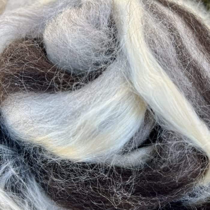 Savings Club Fiber - Head in the Clouds